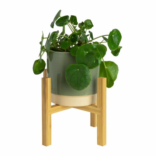 Bloempot
