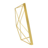 Hexagon fotolijst in het goud