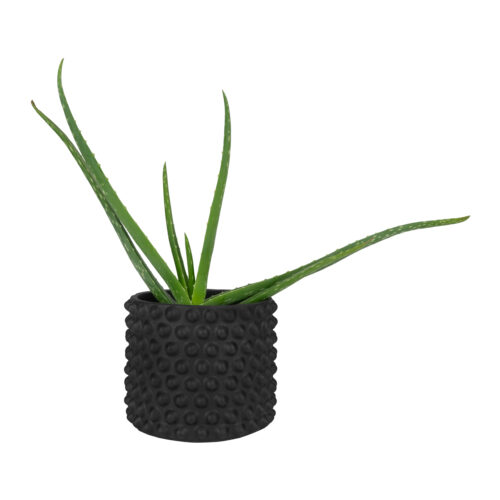 Betonnen bloempot met bolletjes