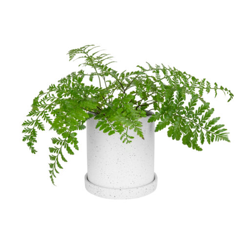Witte bloempot van keramiek