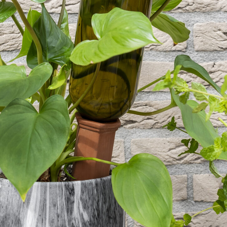 druppelsysteem voor geleidelijk water geven
