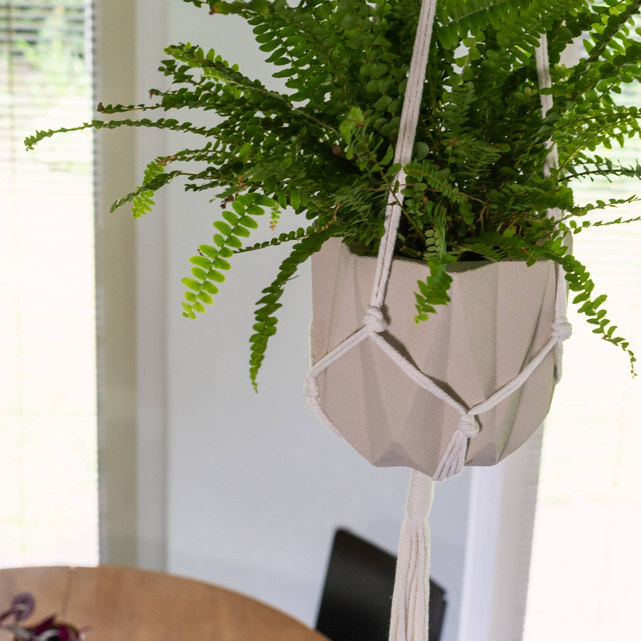plantenhangers