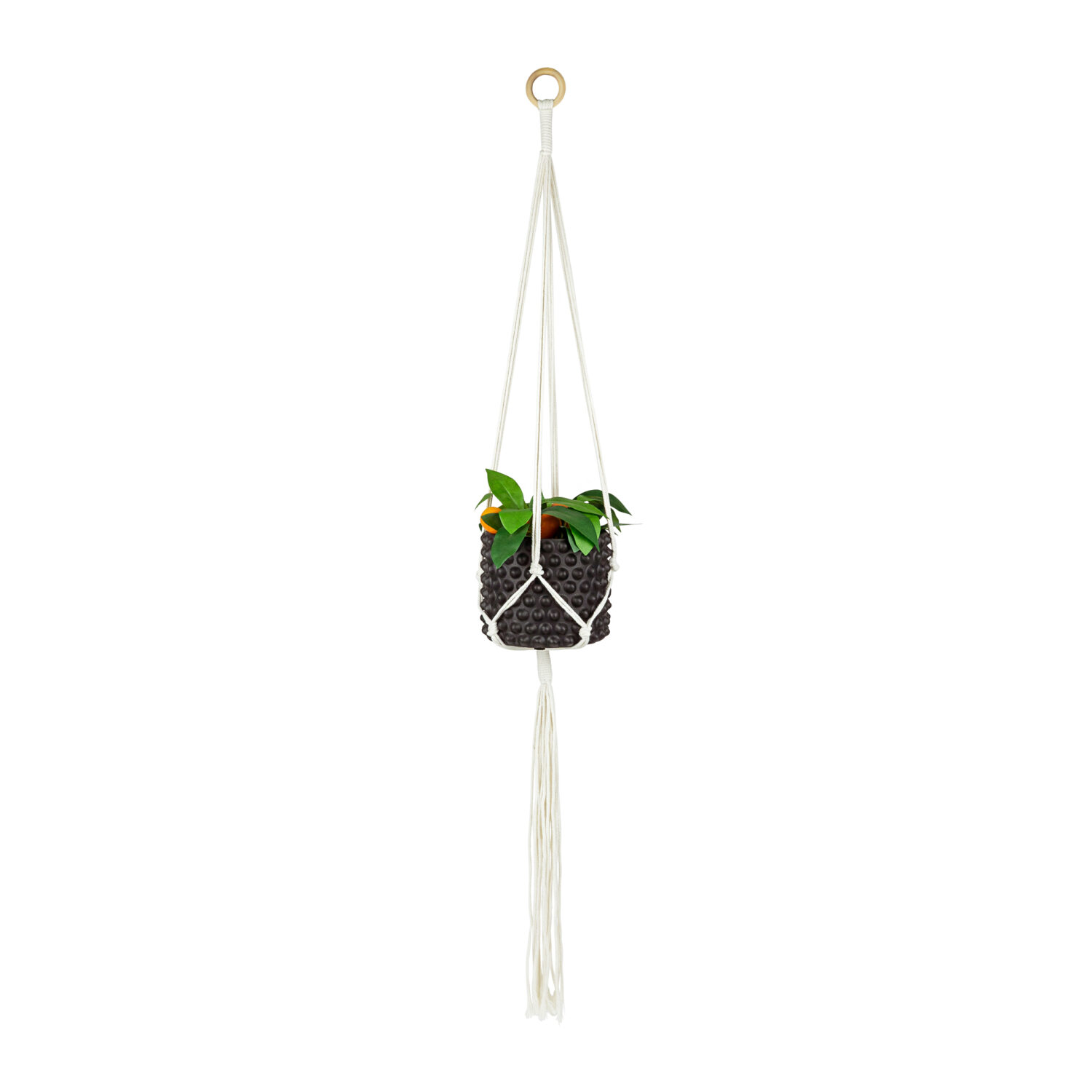 Plantenhanger voor bloempot