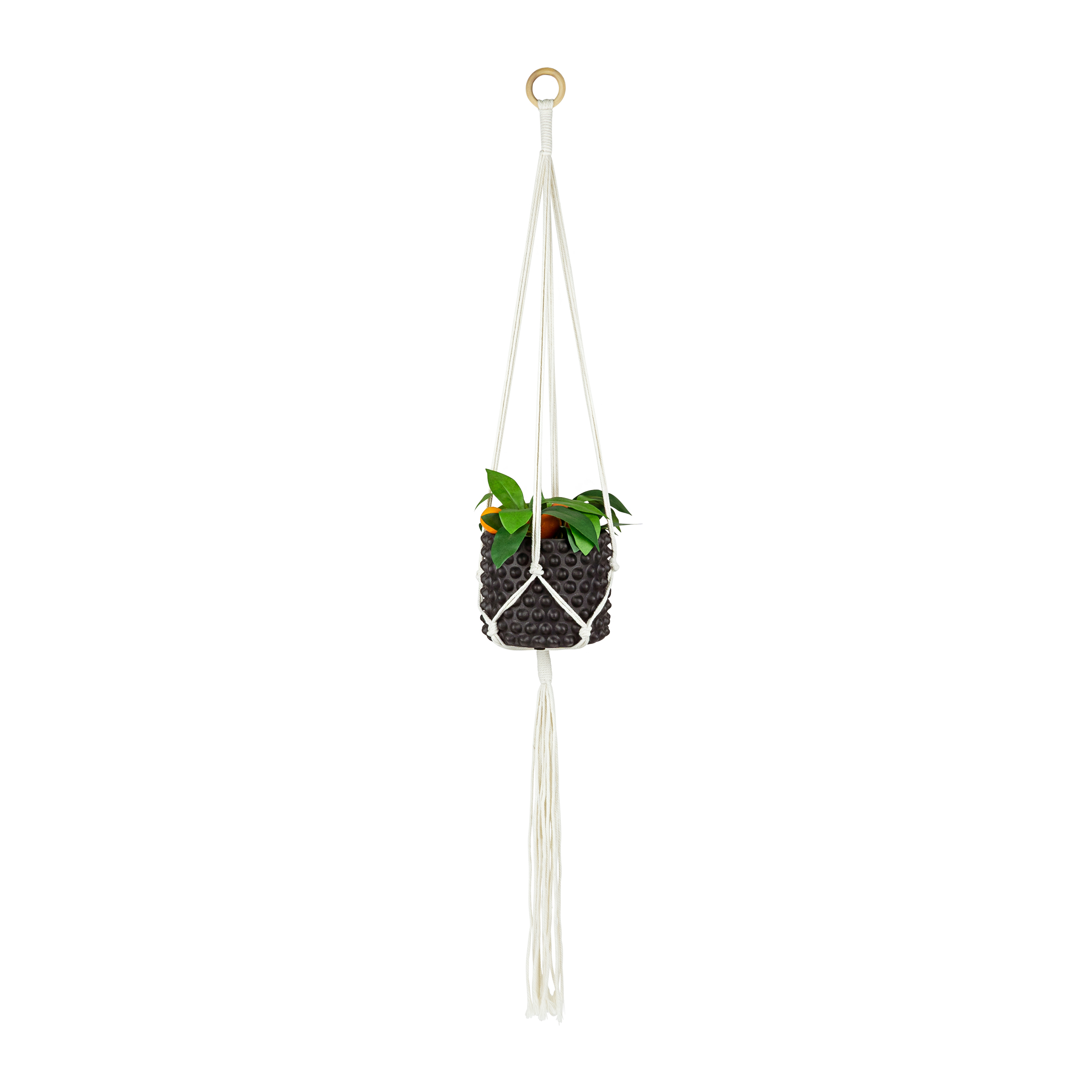 Plantenhanger voor bloempot