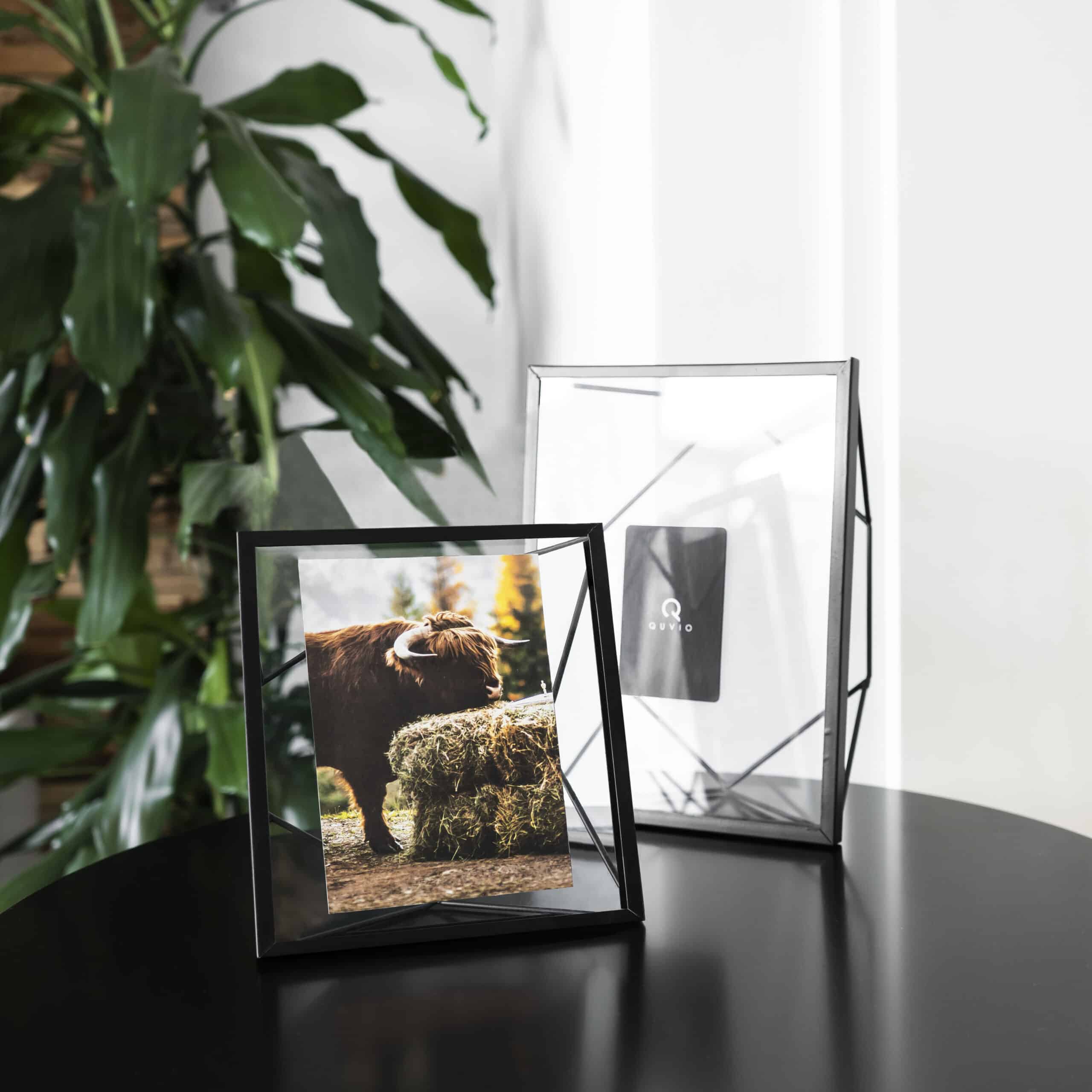 fotolijstjes in een Set van 3