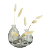 vazen set van 3 met donkerglas