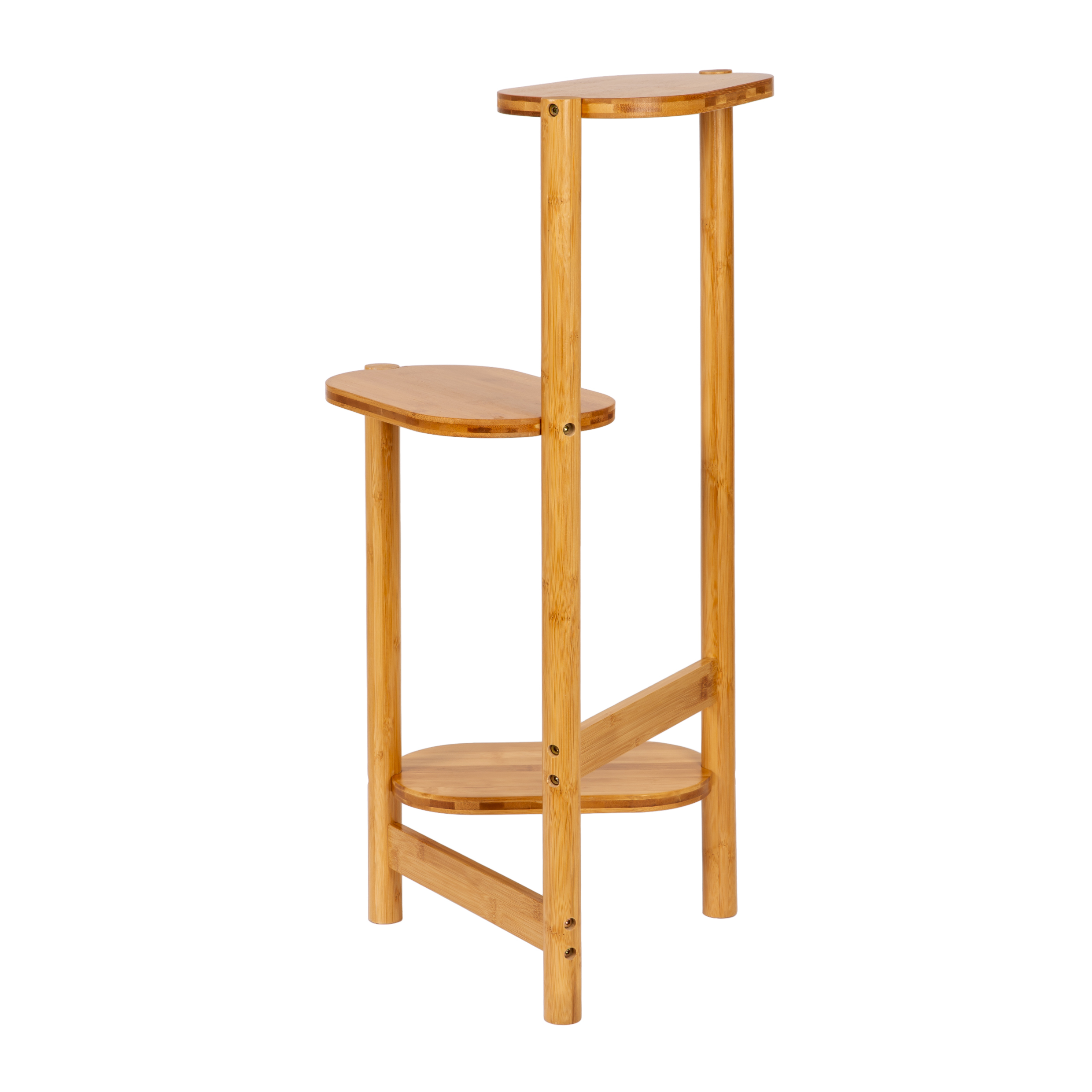 plantenrek bamboe