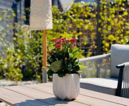 Bloempot, vaasje, tafel, bloempotje, bloemenvaas, bloemen