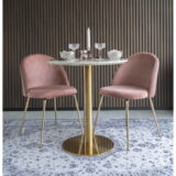 QUVIO Eetkamerstoel Geneva – Roze Fluweel – Messing Look Poten – Set van 2