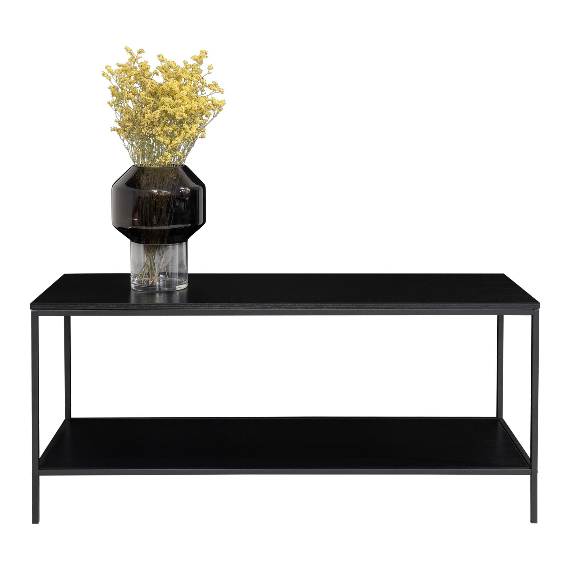 QUVIO TV-Meubel industrieel – Zwart – Staal – 2 Planken
