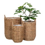 QUVIO Manden met handvaten  – Naturel- Zeegras – Set van 3