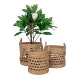 QUVIO Mandenset – Zeegras – Naturel – Set van 3