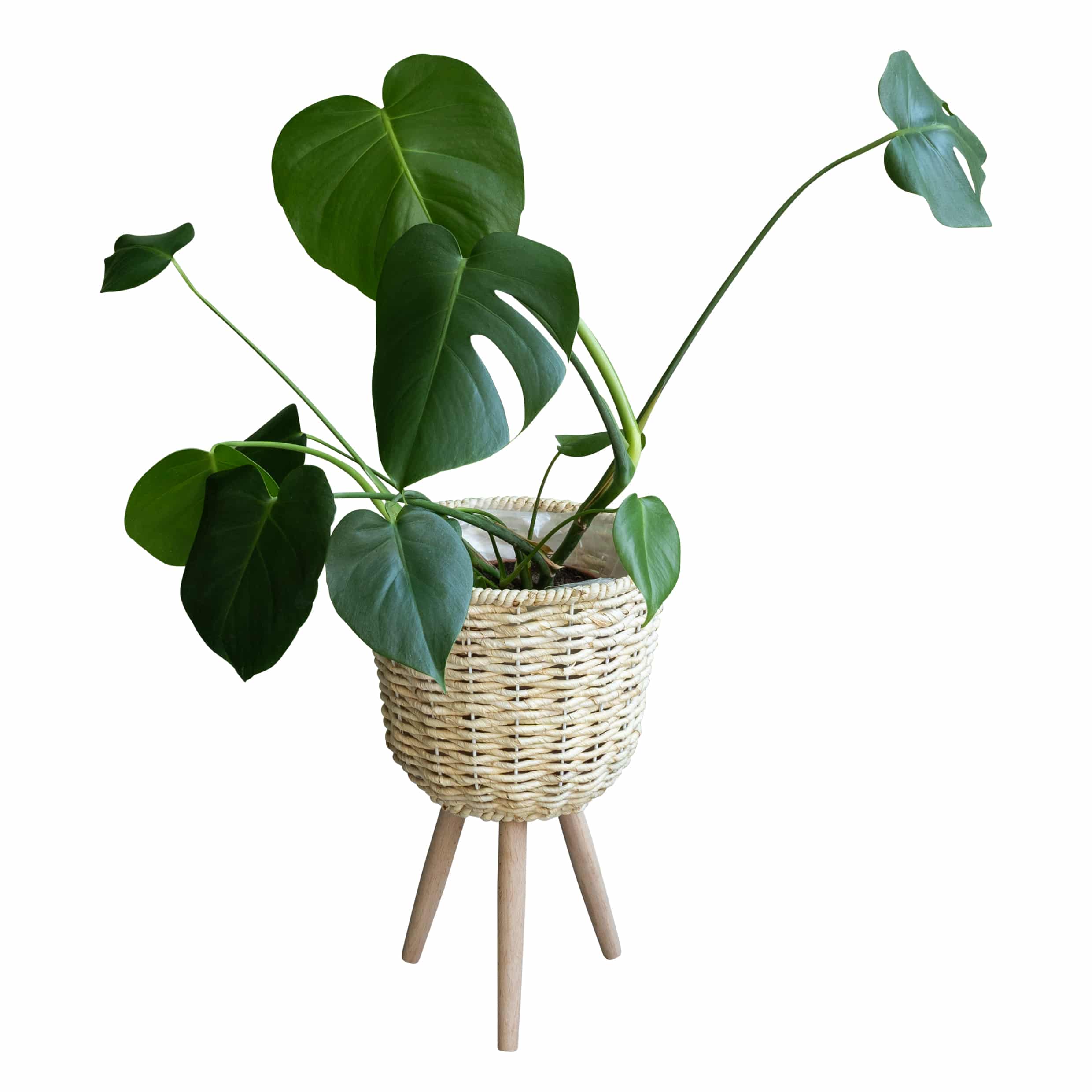 Plantenmand houten driepoot