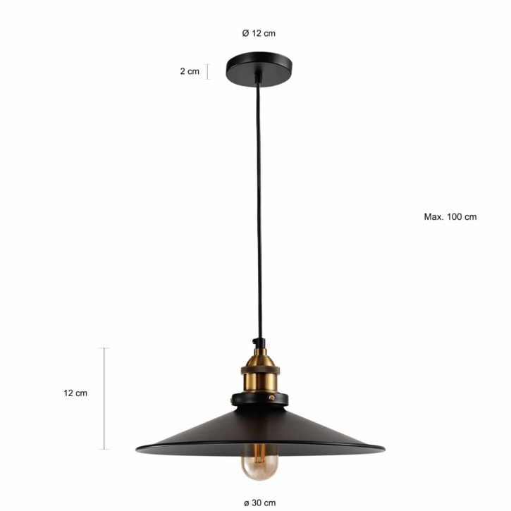 Zwarte hanglamp met gouden accenten