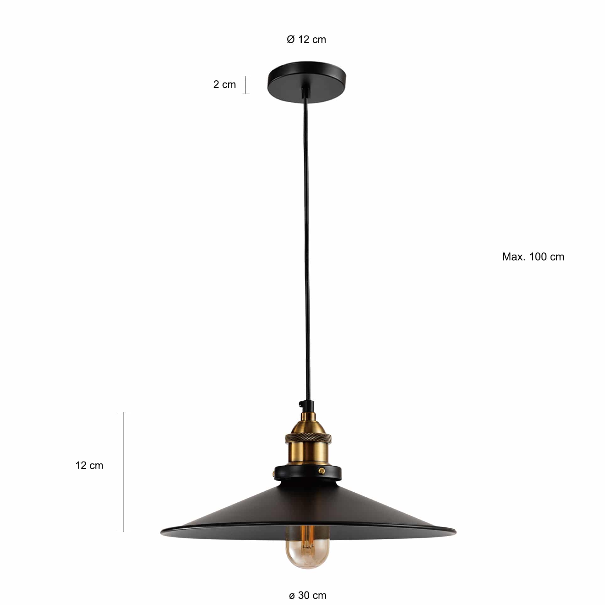 Zwarte hanglamp met gouden accenten