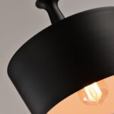 Modern zwarte hanglampen