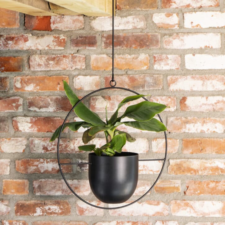 bakje voor planten van staal