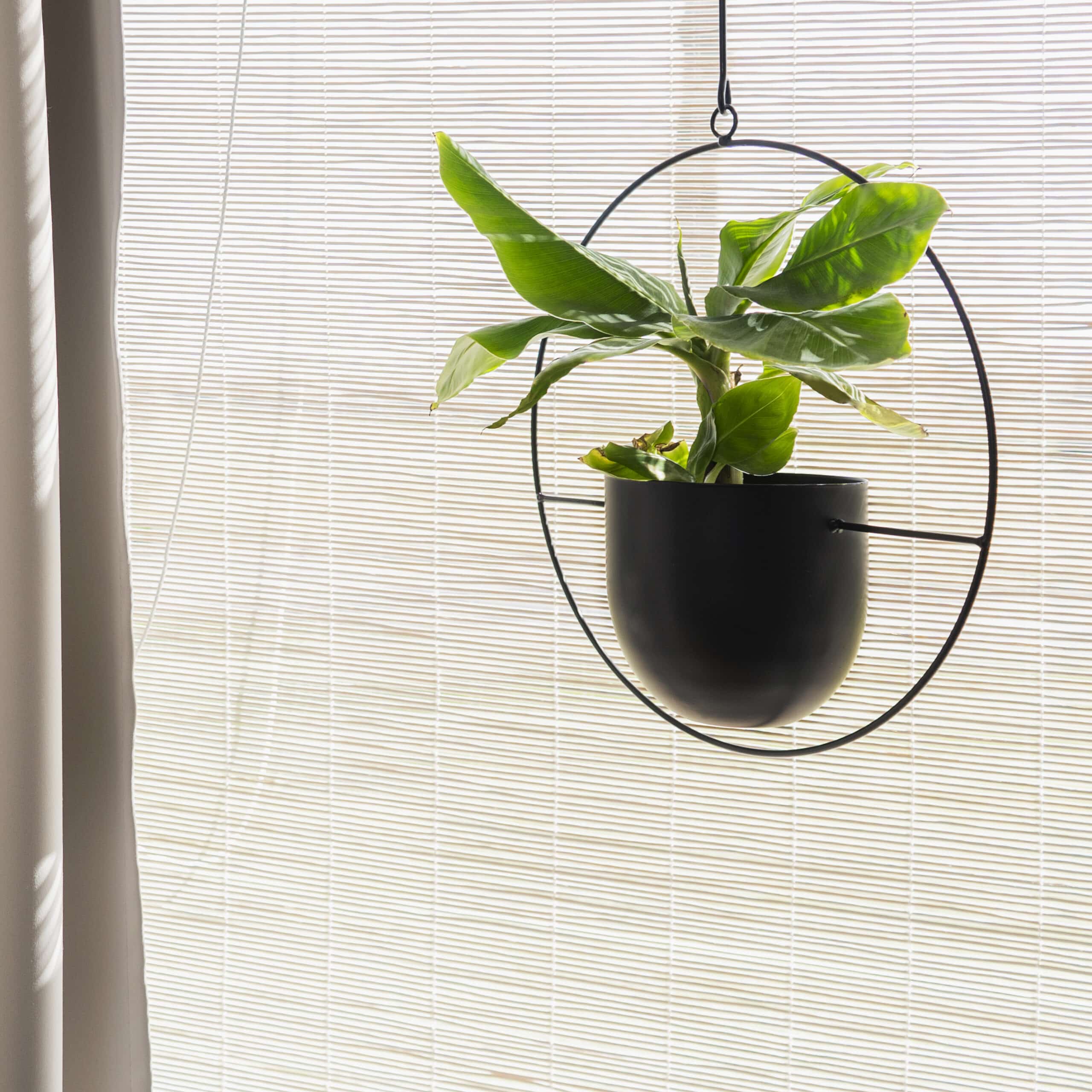 Hangende bloempot zwart