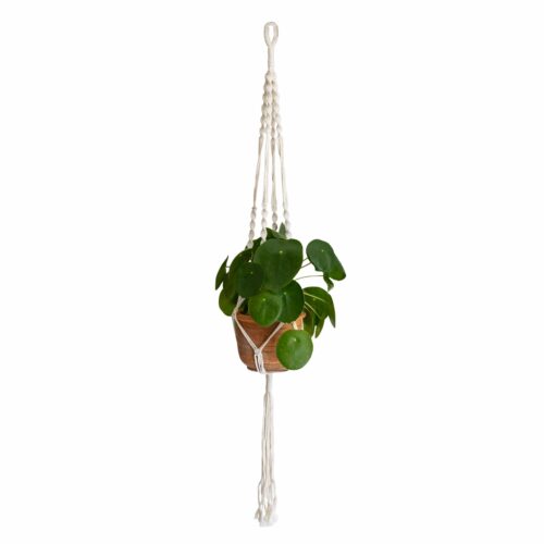 Plantenhanger