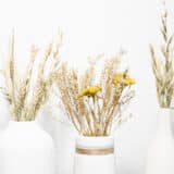 Vazen voor droog bloemen