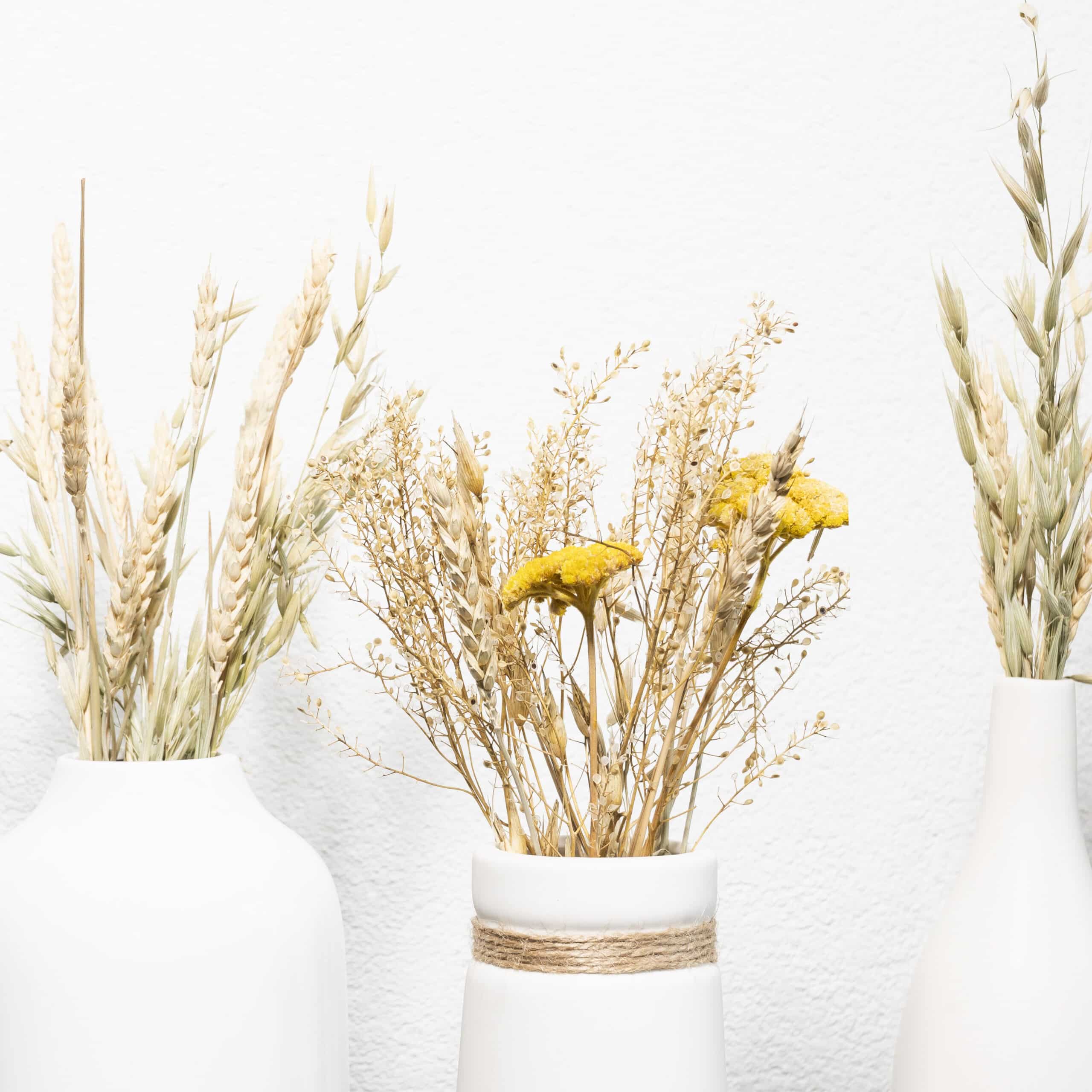 Vazen voor droog bloemen