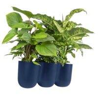 Trio donkerblauwe bloempotten