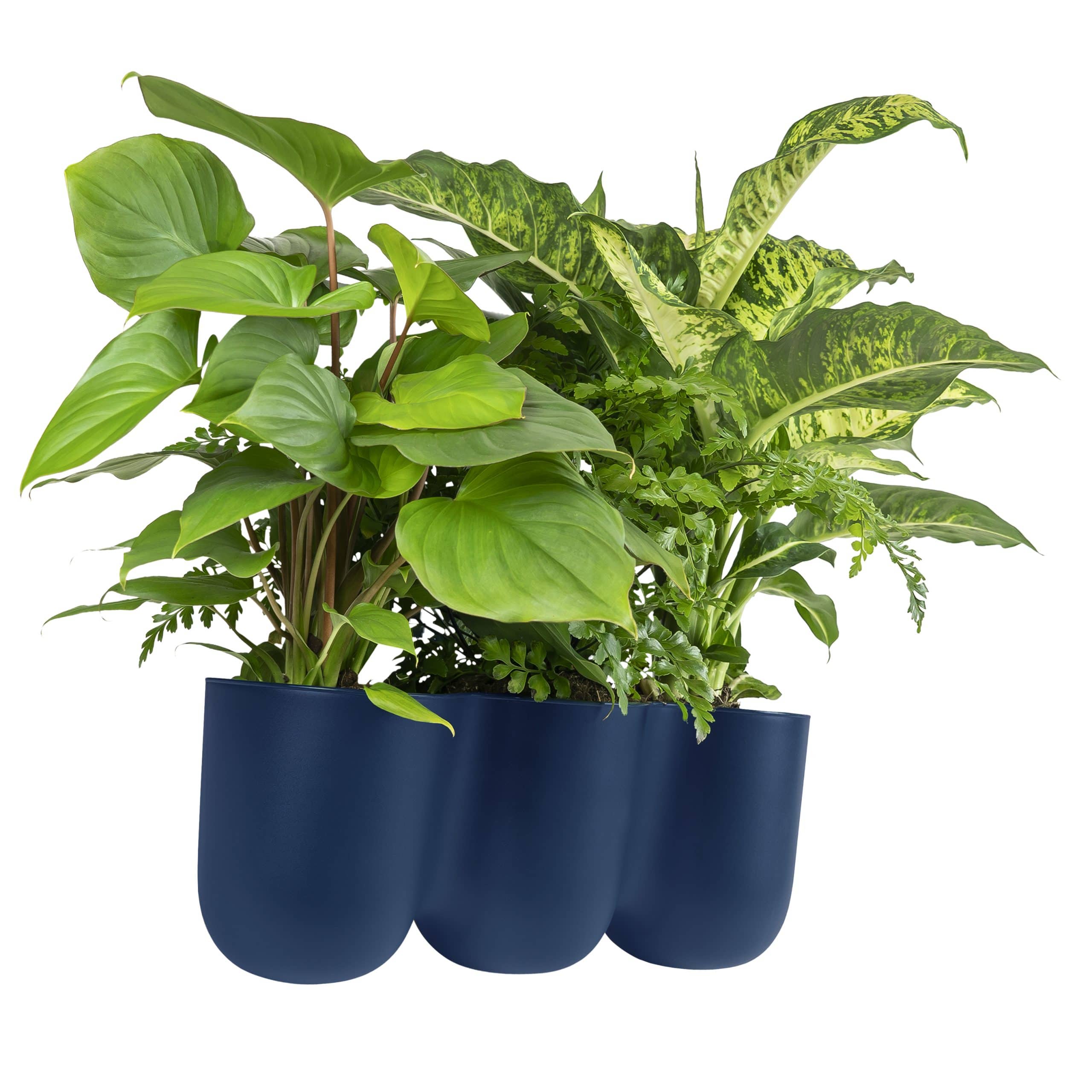 Trio donkerblauwe bloempotten
