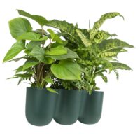 Bloempot trio voor aan de wand donkergoen