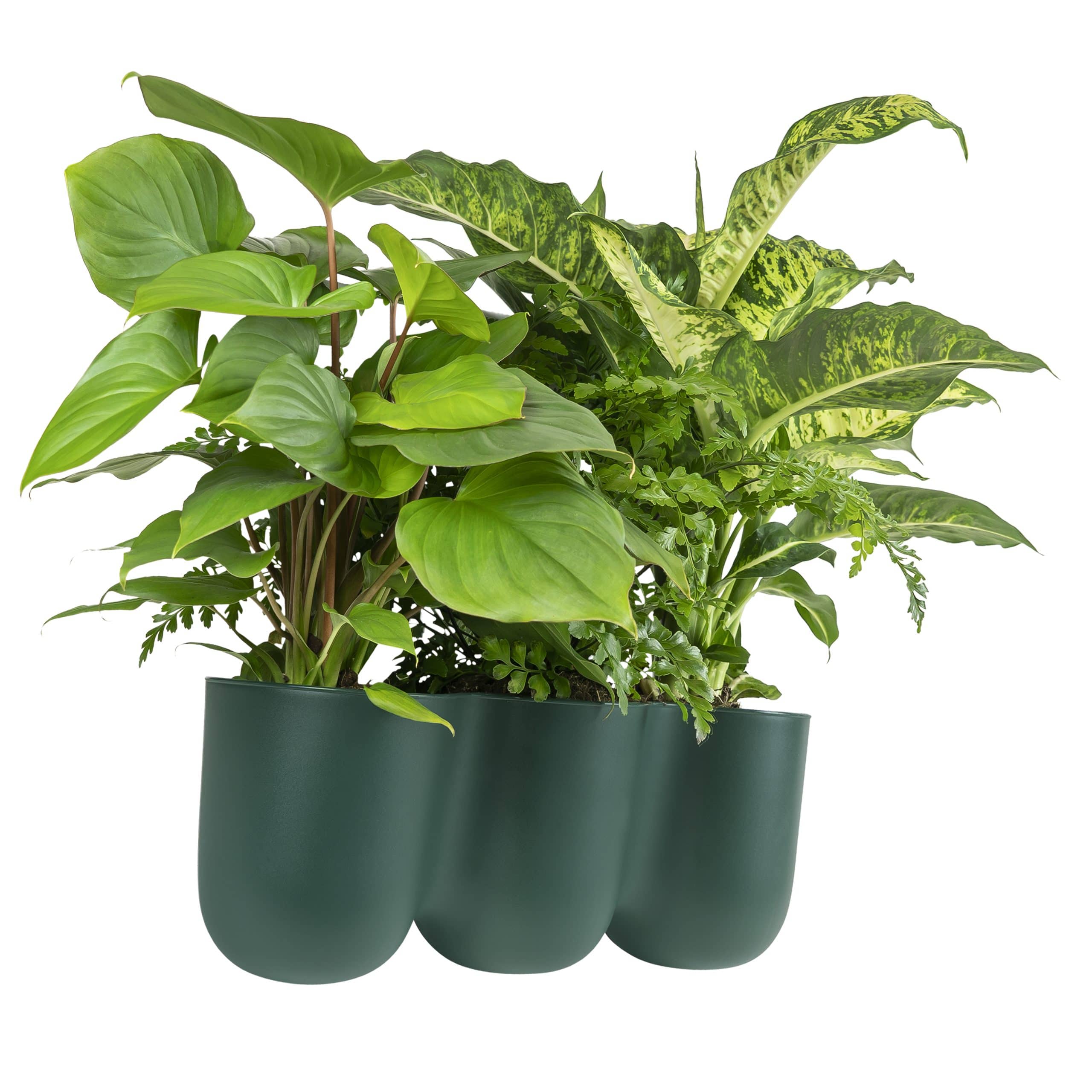 Bloempot trio voor aan de wand donkergoen