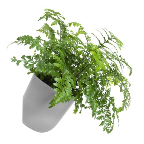 Bloempot voor aan de wand grijs