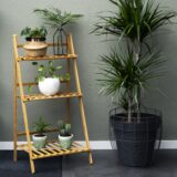 Planten in de woonkamer plaatsen