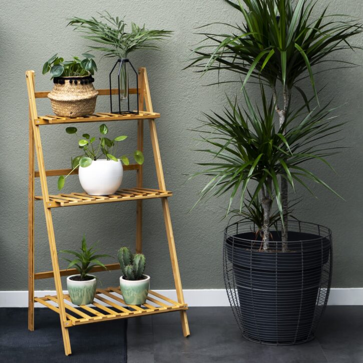 Planten in de woonkamer plaatsen